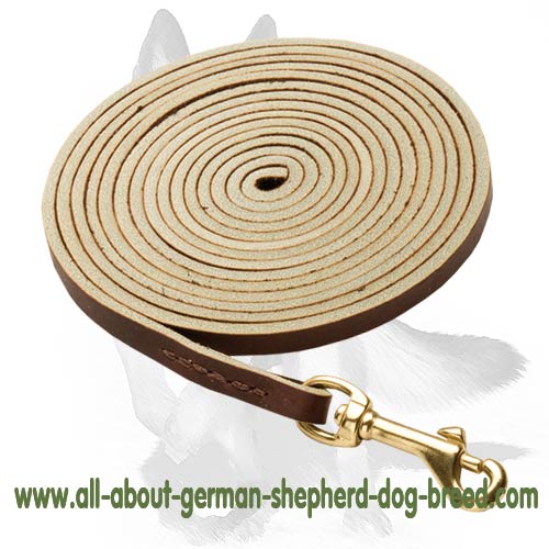 Walking, Tracking Leather Dog Lead with Sturdy Brass Snap-hook