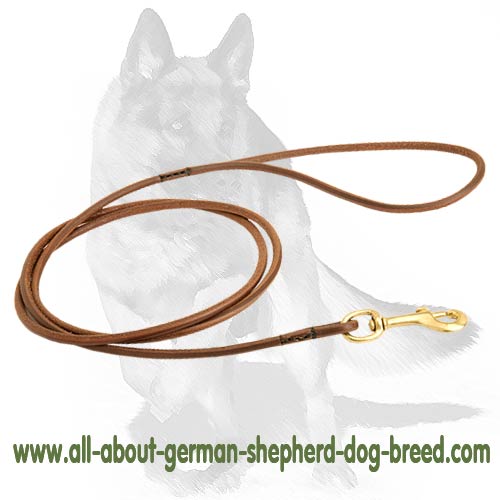 Thin Classic Leather Leash with Brass Hardware for Dog Show