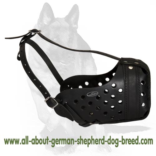 Agitation Leather Training Dog Muzzle for German Shepherd - K9