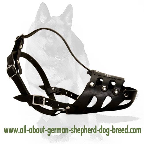 Everyday German Shepherd Leather Dog Muzzle