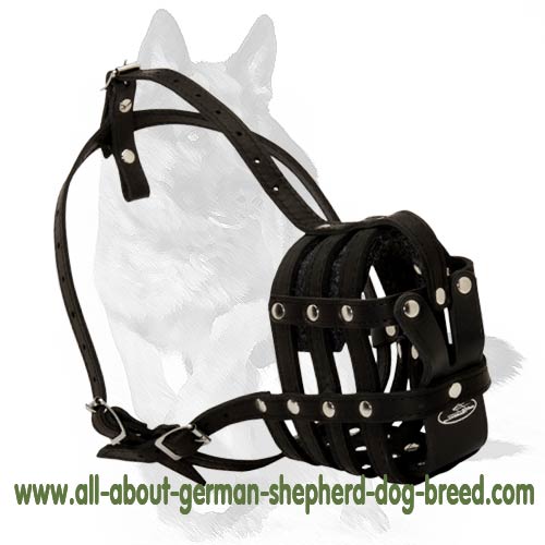 'Mon Amie' - Lightweight German Shepherd Muzzle for Everyday Use