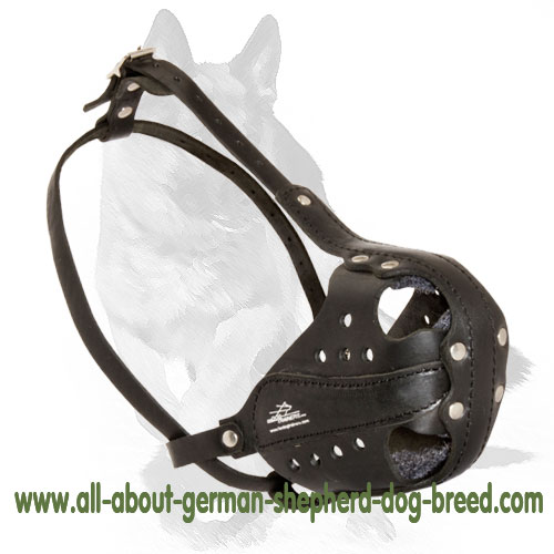 'Mighty Maxxx' - Heavy Duty Police Muzzle