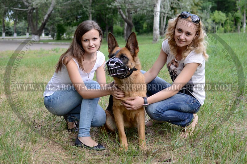 'Bite Salvage' German Shepherd Wire Muzzle - Wire Basket Dog Muzzle