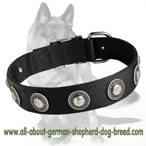 Nylon Dog Collar with Silver Conchos for Comfortable all-weather walks and training