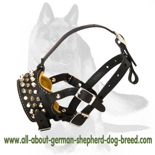 'Captain Infinix' - Padded Leather Dog Muzzle with Handset Studs