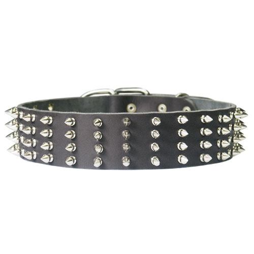 Protector Full Spiked 2 inch Collar for German Shepherd