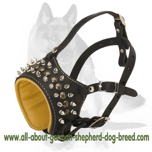 'The Invader' - Superb German Shepherd Muzzle with Metal Decoration
