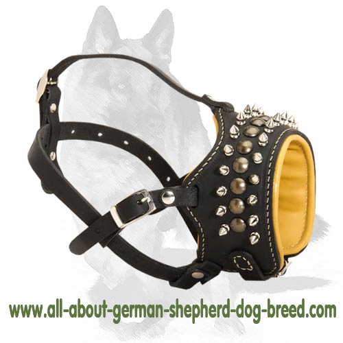 decorative dog muzzles