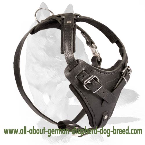 'New Venice' Agitation/Protection Leather Dog Harness for German Shepherd