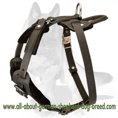 'New Venice' Agitation/Protection Leather Dog Harness for German Shepherd