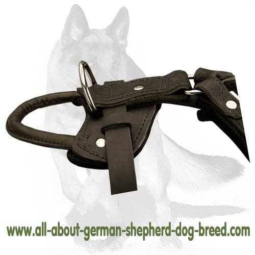 'New Venice' Agitation/Protection Leather Dog Harness for German Shepherd