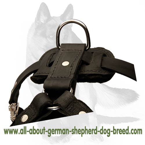 'New Venice' Agitation/Protection Leather Dog Harness for German Shepherd