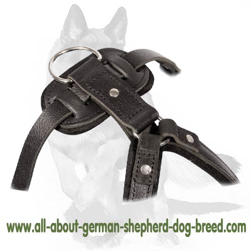 'New Venice' Agitation/Protection Leather Dog Harness for German Shepherd