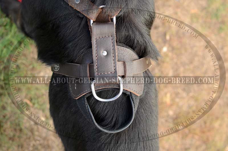 'New Venice' Agitation/Protection Leather Dog Harness for German Shepherd