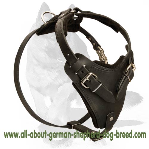 'New Venice' Agitation/Protection Leather Dog Harness for German Shepherd