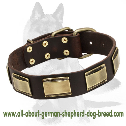 Exquisite German Shepherd Leather Collar with Brass Plates