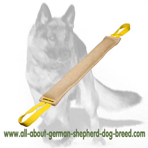 Jute Bite Tug for German Shepherd Bite Skills Improvement