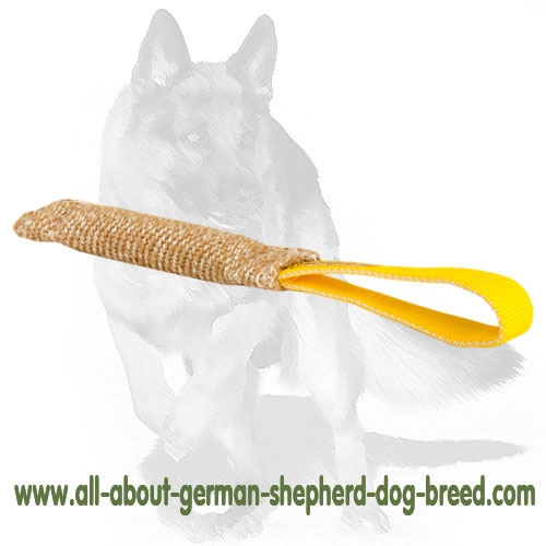 Jute dog bite tugs discount