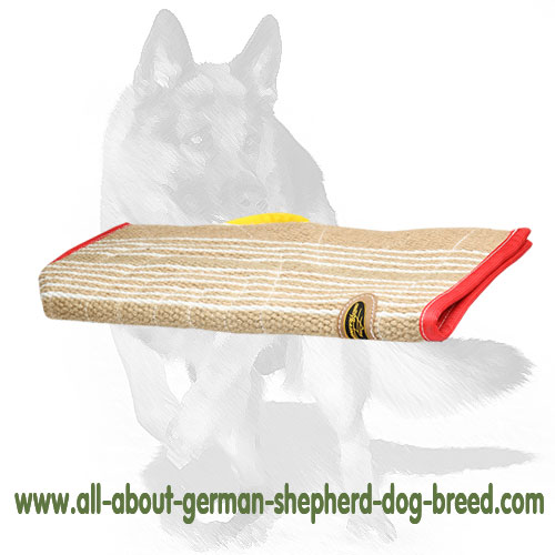 Safe and Durable Jute Cover for Bite Sleeves