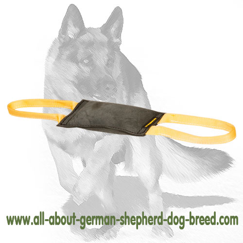 German Shepherd Leather Bite Tug for Puppy / Young Dog Training