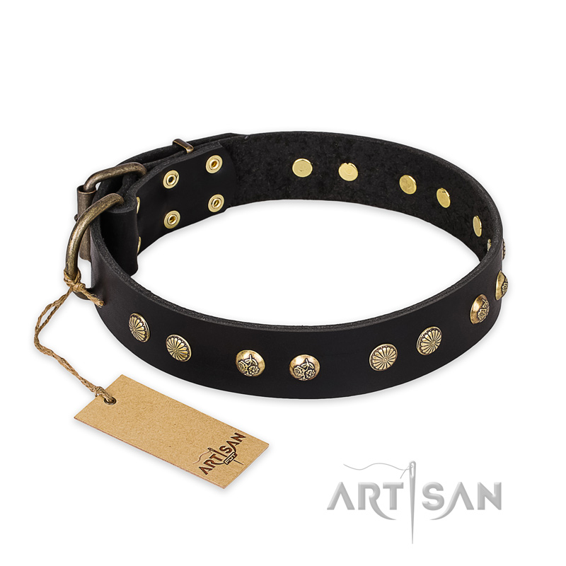 'Black Elegance' FDT Artisan German Shepherd Leather Dog Collar with Round Studs
