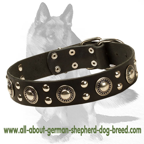 German Shepherd Chic Studded Leather Dog Collar