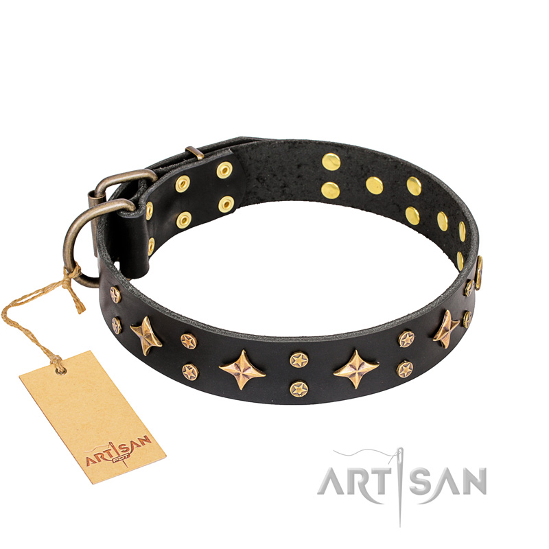 "A La Mode" FDT Artisan Walking Black Leather German Shepherd Collar