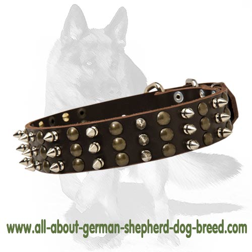 Adjustable German Shepherd Leather Dog Collar