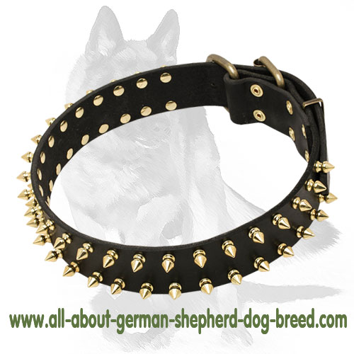 German Shepherd Luxurious Spiked Leather Collar