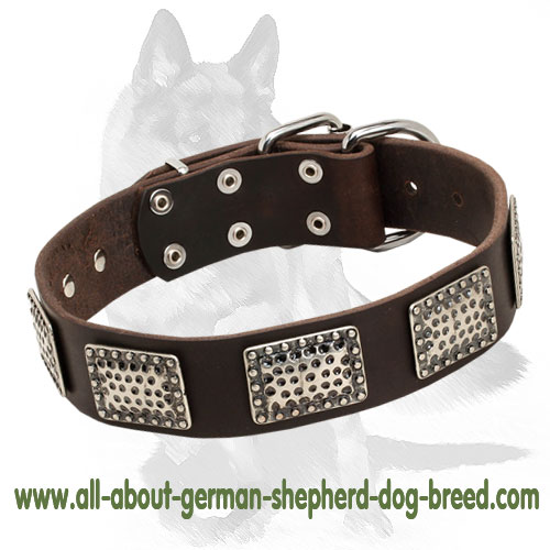 German Shepherd Leather Collar with Plates in Military Style - Click Image to Close