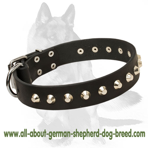 German Shepherd Leather Dog Collar with Nickel Plated Pyramids