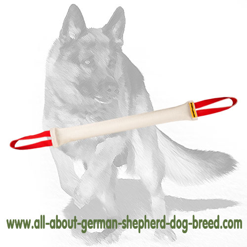 Dog Training Fire Hose Dog Bite Tug With 2 Handles