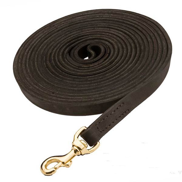 Leather dog leash for tracking
