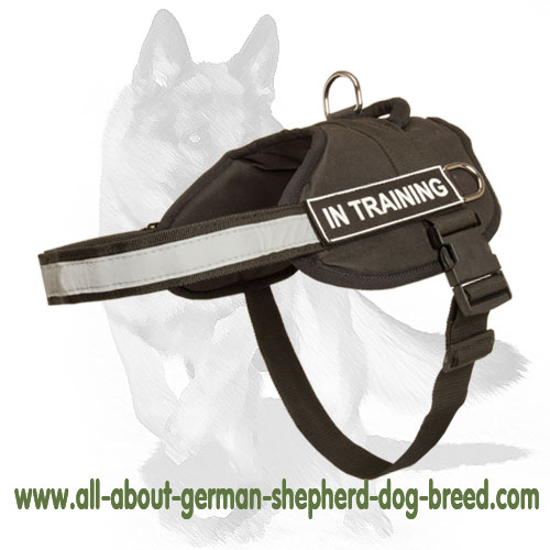 Canine Nylon Patrol Harness for German Shepherd