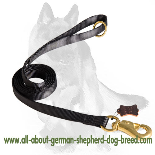 Tubular Nylon Waist Lead 6ft for German Shepherd