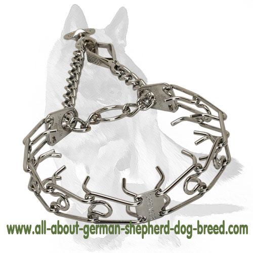 Chrome Plated Pinch Prong Collar 1/8 inch (3.25 mm) link