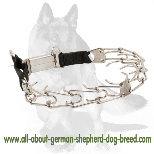 German Shepherd Stainless Steel Pinch Prong Collar with Click Lock Buckle and Nylon Loop 1/8 inch (3.2 mm)