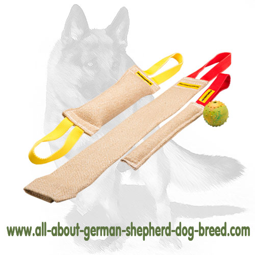 German Shepherd Training Jute Bite Set of Tugs for Puppy