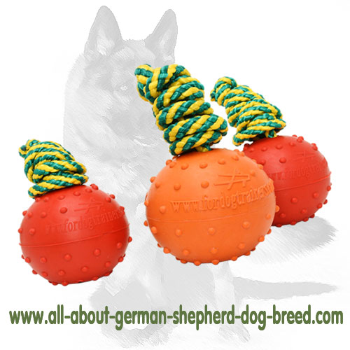 German Shepherd Solid Rubber Dog Training Water Ball 2 1/3 inch (6 cm)