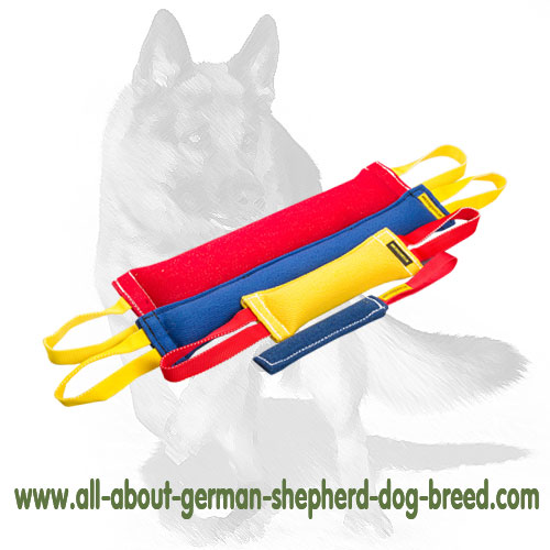 German Shepherd Adult Training Set