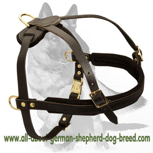 ‘Egyptian Magic’ Tracking/Pulling Leather Dog Harness for German Shepherd