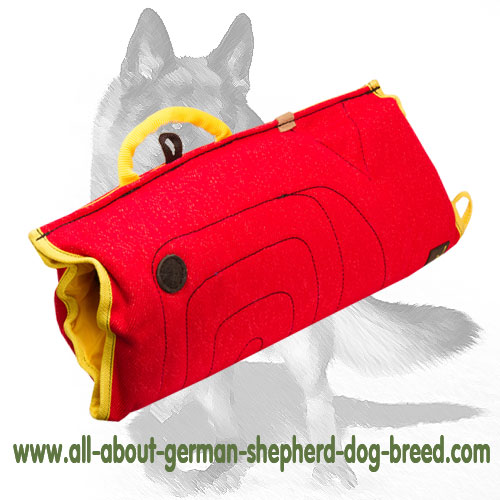 Puppy sleeve made of strong yet safe for your dog french linen