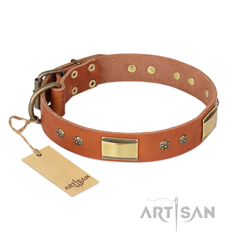 'Enchanting Spectacle' FDT Artisan German Shepherd Tan Leather Dog Collar with Golden-Like Studs - 1 1/2 inch (40 mm) wide