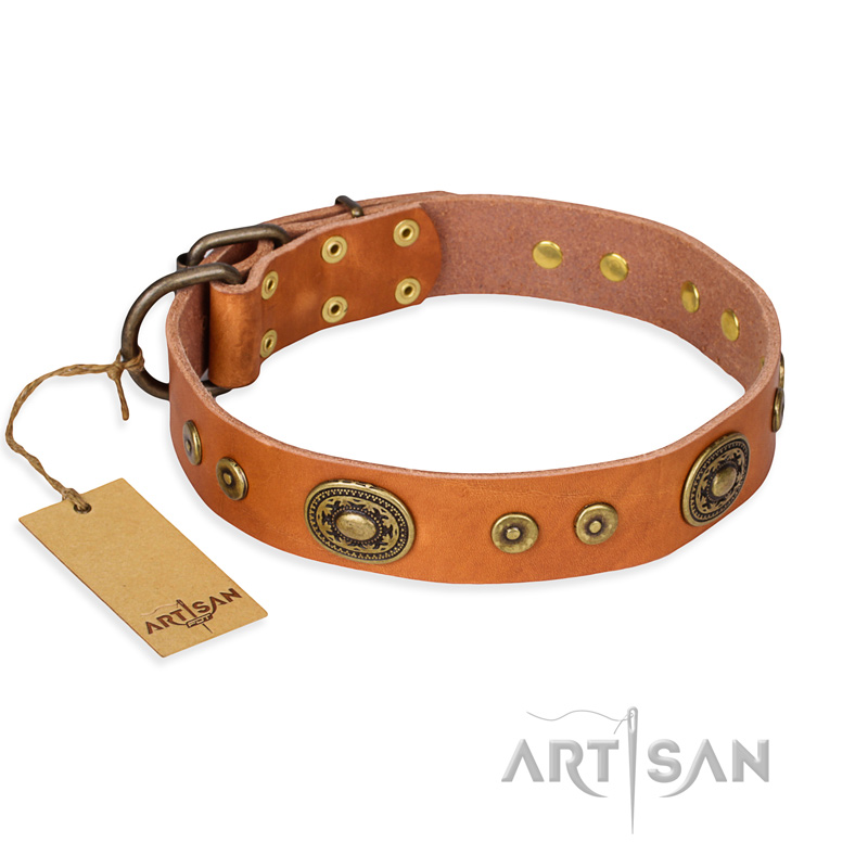 'Dandy Pet' FDT Artisan GSD Tan Leather Dog Collar
