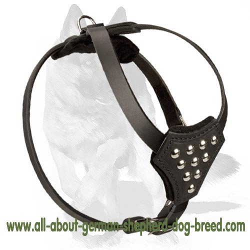 German Shepherd Puppy Designer Leather Harness