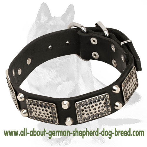 Posh and Rich Leather Collar with Plates and Pyramids for German Shepherd