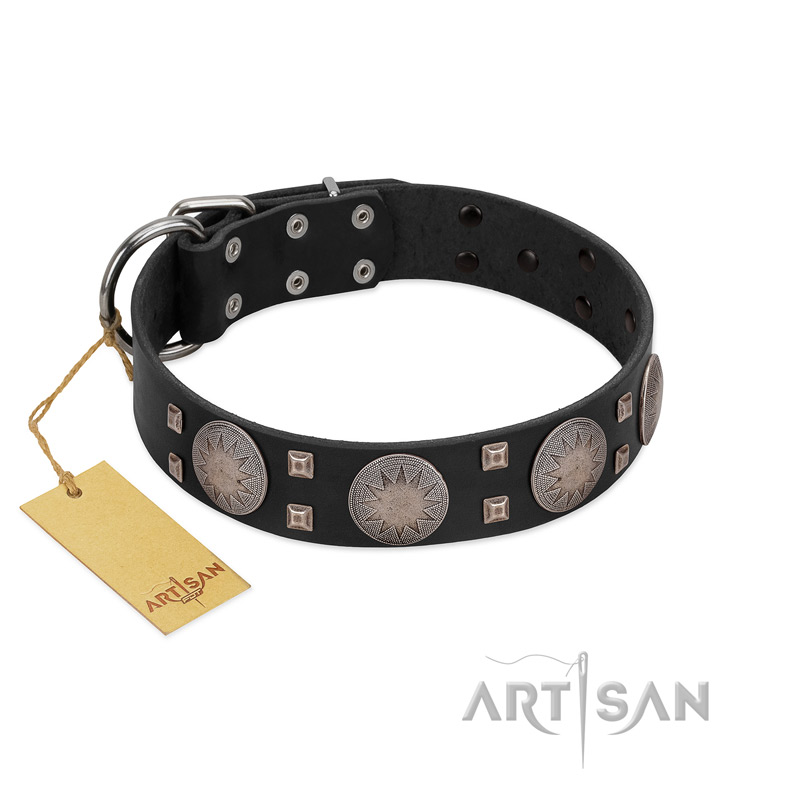 "Sun in Shining" Modern FDT Artisan Black Leather German Shepherd Collar with Studs and Stars