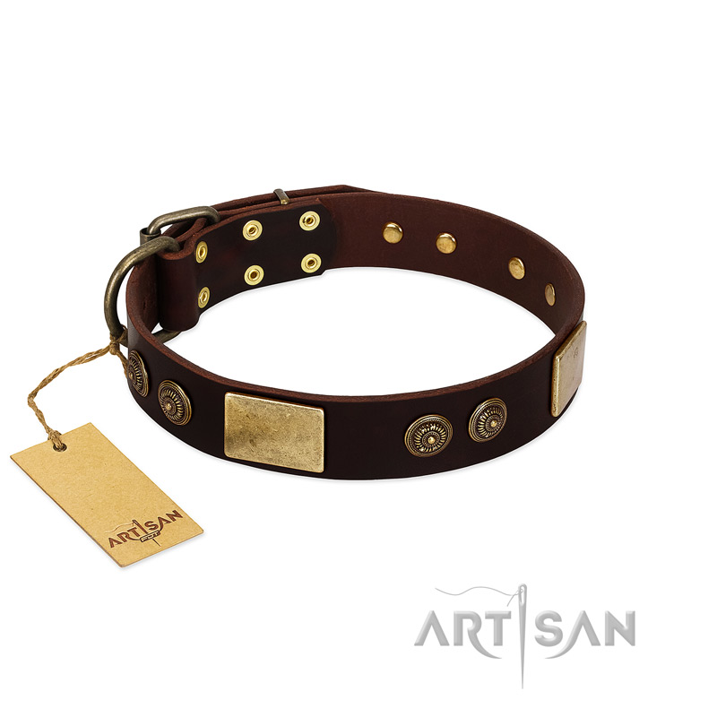 "Bow-Wow Effect" FDT Artisan Brown Leather German Shepherd Collar with Plates and Ornate Studs