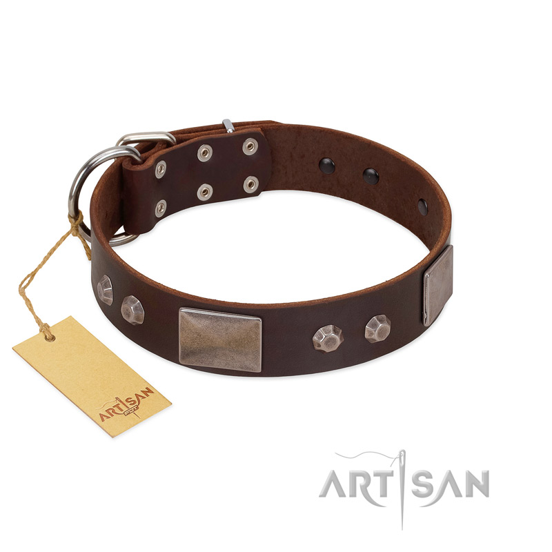 "Stone Stars" Stylish Handmade FDT Artisan Brown Leather German Shepherd Collar