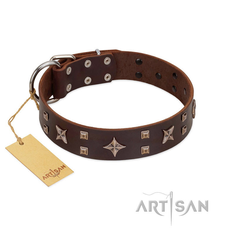 "Stars in Sands" Modern FDT Artisan Brown Leather German Shepherd Collar with Studs and Stars